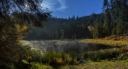 buhlbachsee, schwarzwald, lake, panorama, baiersbroon, outdoors, adventure, water, trees, nature, black forest, wild, fog, light, leaves, mystical, sky, landscape, autumn, atmosphere, romantic, magic, gloomy, schwarzwald, schwarzwald, schwarzwald, schwarzwald, schwarzwald, nature, nature, gloomy