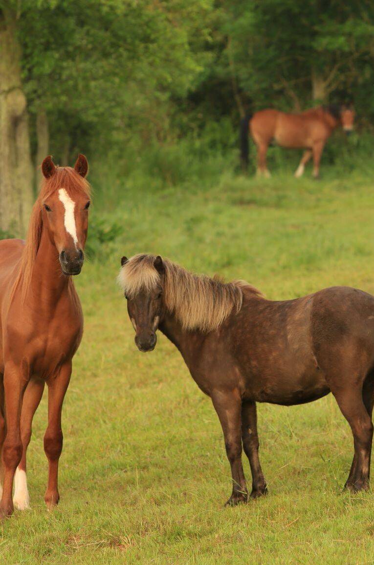 www.klostermuehle.com/de/natur-aktiv