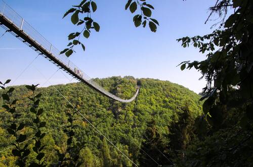 germany, geierley suspension bridge, hunsrück