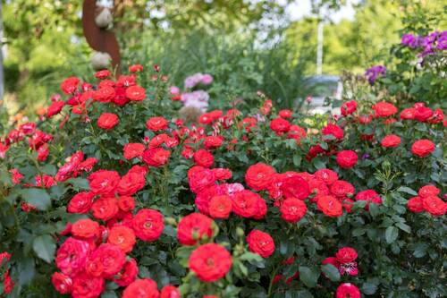 media/26234037-24ca-4306-8cf5-a4f44a28dce1.jpg?w=1500