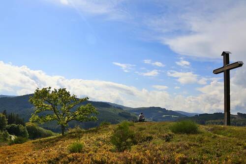 media/304a0932-d6a1-4b95-92bc-ca35bab1a416.jpg?w=1500