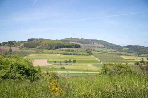 Liesetal 0064