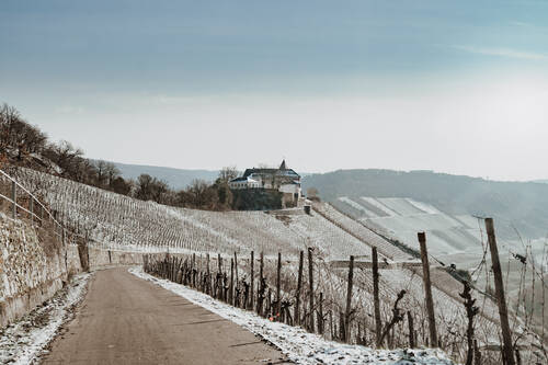 ZM Wintermosel 003