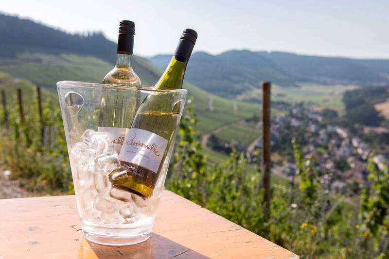 Csm landidyll weinhotel klostermuehle ockfen leckere weine aus dem hauseigenen weingut weinkuehler auf picknicktisch blick weinberg 3e45d9e057