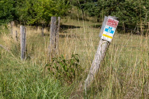 media/90571d28-d7d5-4e2f-b839-3f48e996c7d2.jpg?w=1500