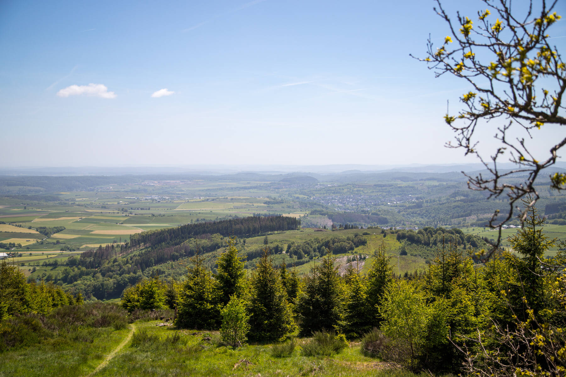 Liesetal 0103