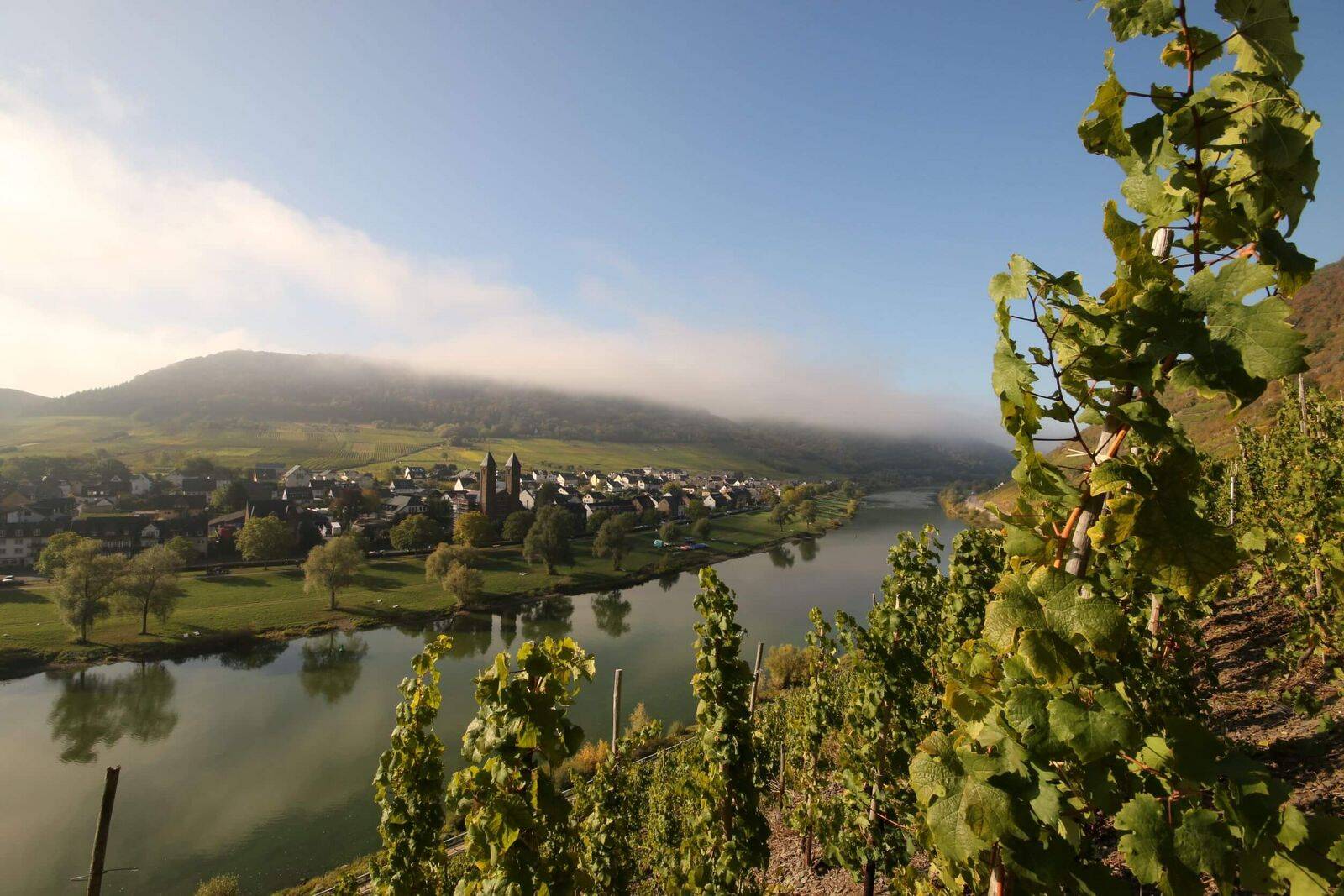 Csm Landidyll Weinhotel Sonnenschein panorama blick auf den moselort ernst 783f63fa85