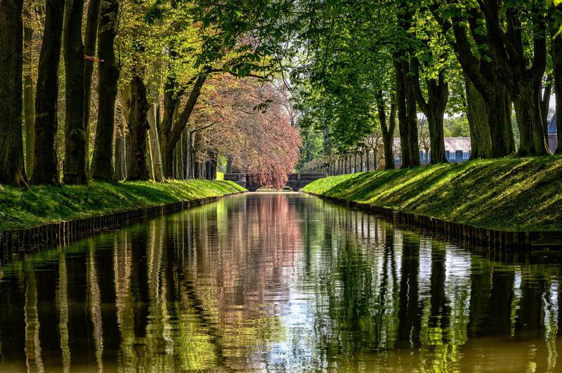 park, flow, channel, water, reflection, waterway, nature, green, trees, avenue, sunlight, forest, quiet, idyll, castle park, north churches, münsterland, spring, channel, channel, channel, channel, channel, waterway, avenue, münsterland, spring